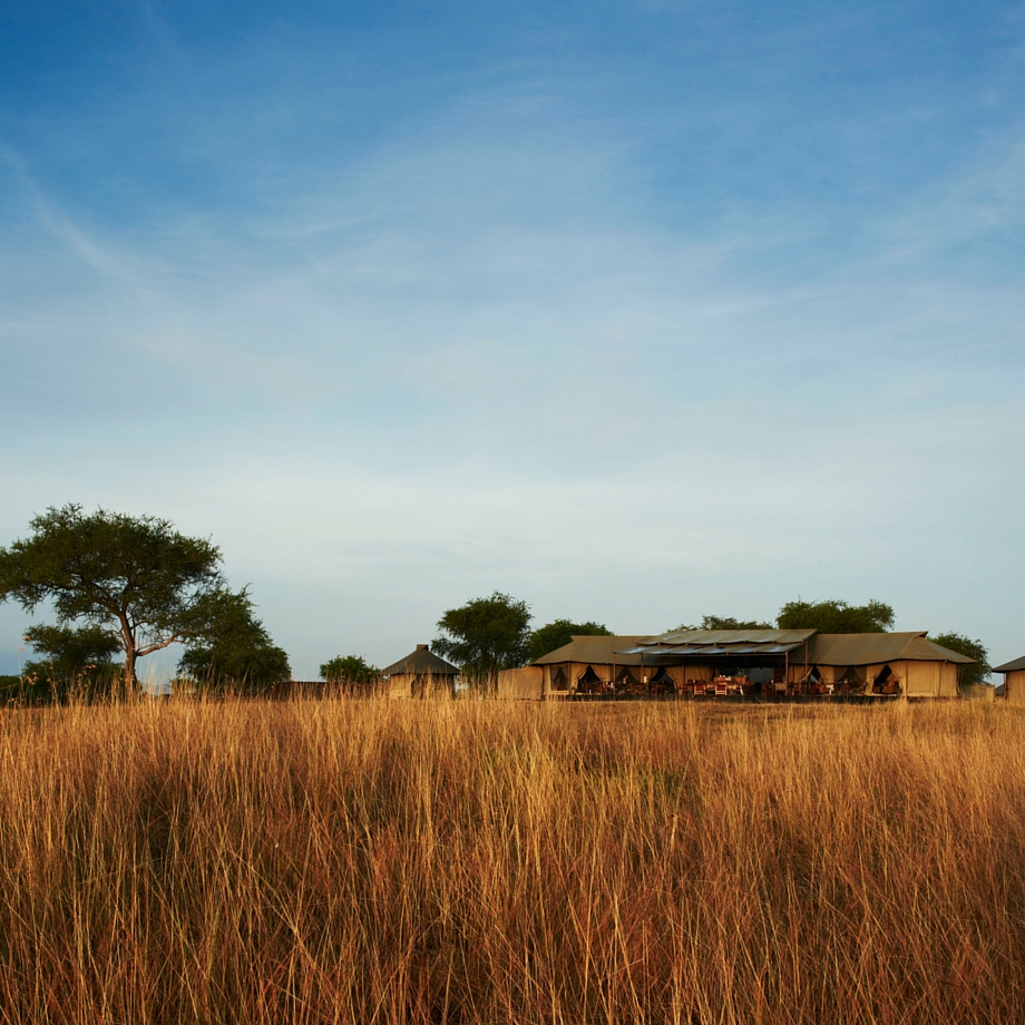 viaggi safari africa tanzania