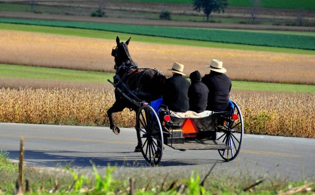 Vivere nell’800: La Comunità Amish